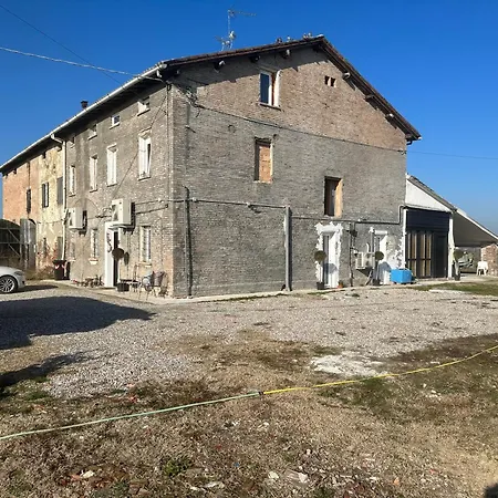 K.tripla * Carpi